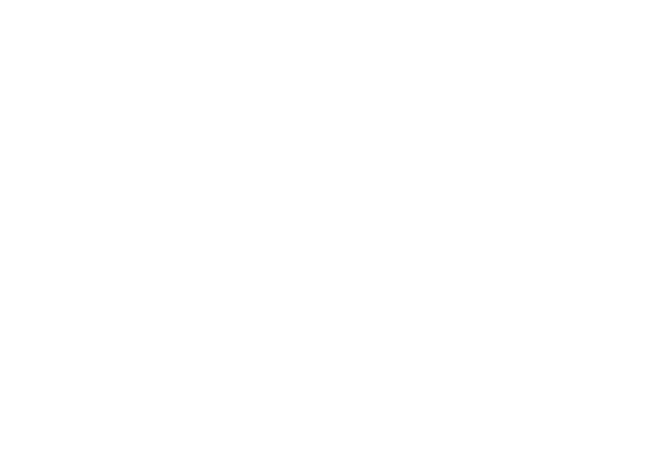 DS Spotlight Productions